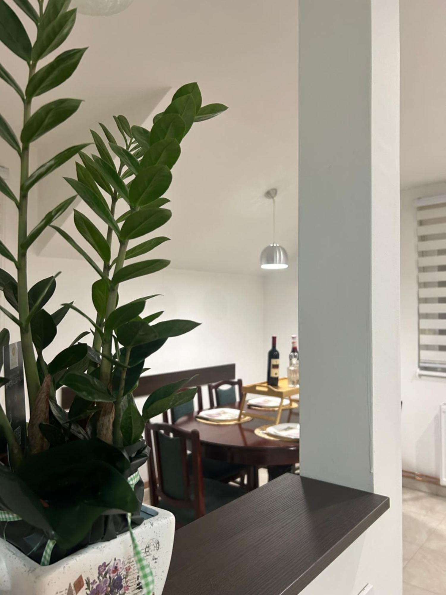 Apartman Diamond Lux Surčin المظهر الخارجي الصورة