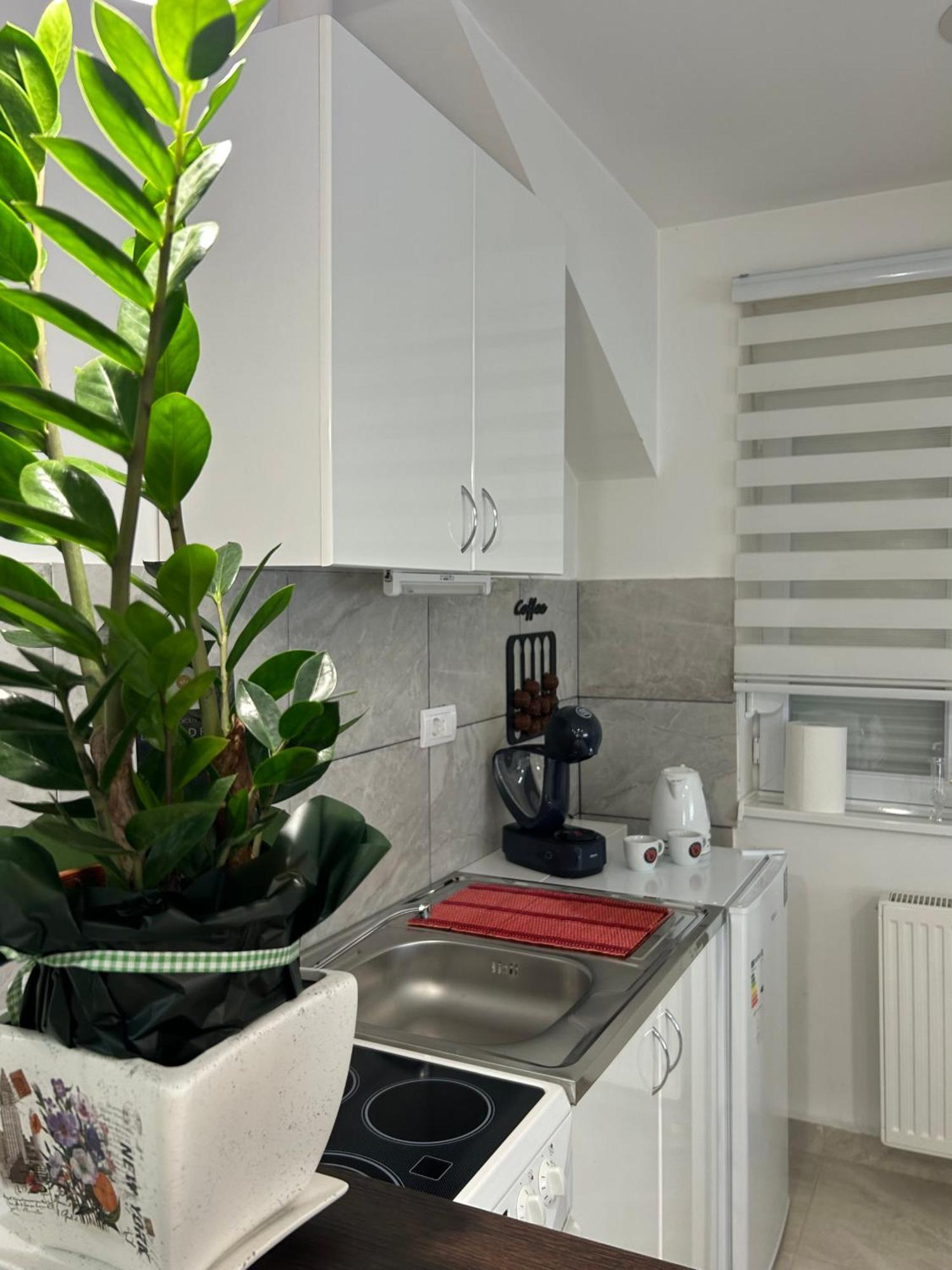 Apartman Diamond Lux Surčin المظهر الخارجي الصورة